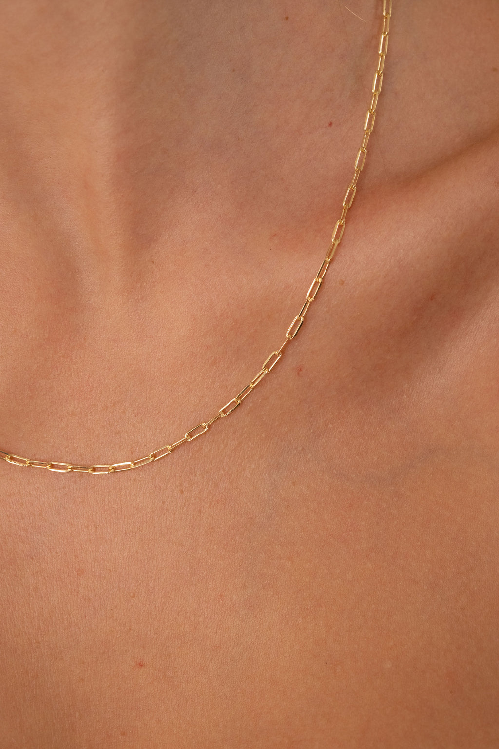 Audrey Link Chain